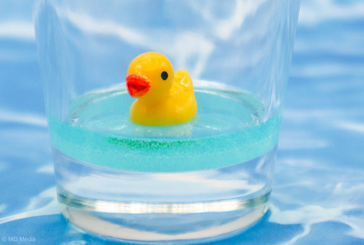 Duck Drinking Buddy