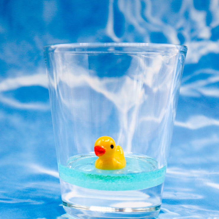 Duck Drinking Buddy